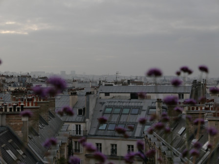 Ce matin, seule sur le toit, je contemplais le gris, dans toutes ses nuances. Je vis des heures d'une tristesse infinie.