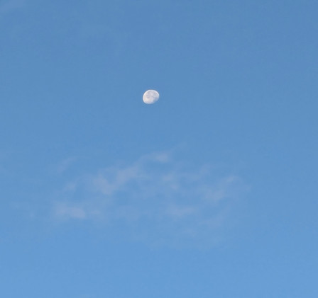 La lune dans le ciel très bleu d'un matin de presque automne. Une vague ombre de nuage, pour la texture.